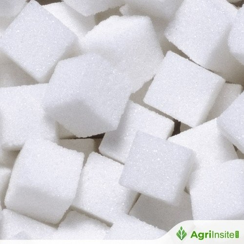 ارتفاع أسعار السكر مع ضعف الدولار وتغطية المراكز المدينة