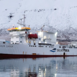 إخلاء مساحة للكابيلين