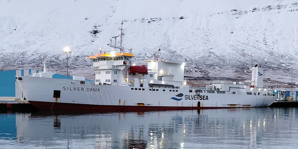 إخلاء مساحة للكابيلين