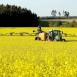 تحذير: صادرات الحبوب الكندية إلى الاتحاد الأوروبي في خطر بسبب قيود المبيدات