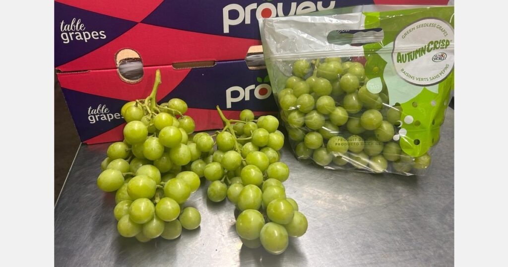 موسم عنب صعب يلوح في الأفق: تحديات أكثر من العام الماضي