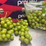 موسم عنب صعب يلوح في الأفق: تحديات أكثر من العام الماضي