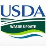 تقرير وزارة الزراعة الأمريكية لشهر فبراير: توقعات بارتفاع أسعار الأبقار في عام 2026