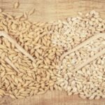 تقلص الفجوة السعرية: شعير العلف يقترب من القمح في المملكة المتحدة